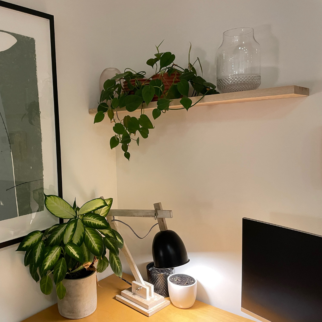 The Slimline Solid Ash Shelf from 200mm in length to 3000mm.